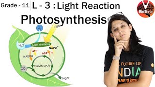 L 3 Photosynthesis in Higher Plants  Class 11 Biology  NEET 2020  AIIMS  Vaani Maam VBiotonic [upl. by Idnerb]