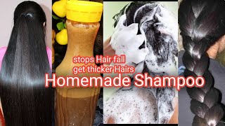 How to make Amla Shikakai Reetha Shampoo at Home  Bushra ki Remedies [upl. by Zia209]