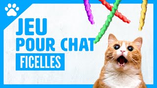 JEU POUR CHAT sur écran  FICELLE  Pour amuser les chats et chatons [upl. by Mairam]