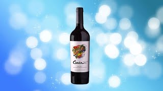 Domaine de Bousquet Gaia Organic Malbec 2019 review [upl. by Hserus]