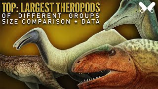 TOP LARGEST THEROPOD DINOSAURS size comparison and data [upl. by Daven]