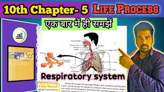 Respiratory System Class 10th  Respiratory System [upl. by Nura914]