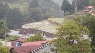 Waji in Tottori City is a rice terraces sanctuary 鳥取 上地 棚田 [upl. by Jozef747]