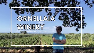 Exclusive tour of Ornellaia winery one of the most prestigious wineries in Italy [upl. by Shaum]