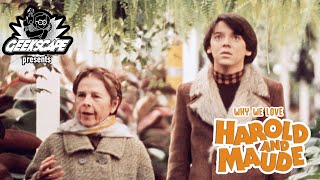 Why We Love  Harold amp Maude [upl. by Annaya945]