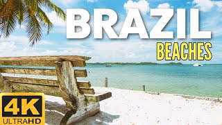 🇧🇷 BEACHES of BRAZIL SCENIC RELAXATION FILM  Relaxing World Scenes  Epic Drone Travel Video [upl. by Annaesor]