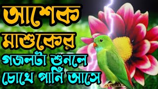 মাশুকের তালাশে আশেক দেওয়ানা  asker gojol monkara  অন্ত্ররে শান্তি পায় এই গজলে [upl. by Jansen]