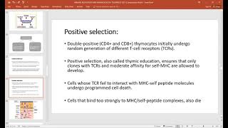 Immune Regulation amp Immunological Tolerance [upl. by Octavia321]