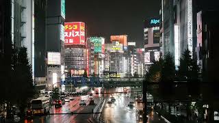 Tokyo Ambience  Shinjuku Bridge In The Rain [upl. by Yniattirb]