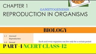 Part4 REPRODUCTION IN ORGANISMS chapter1 NCERT class 12th biology [upl. by Gadmann]