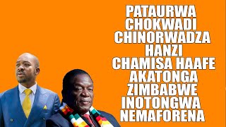 Pataurwa Chokwadi Chinorwadza Hanzi Chamisa Haafe Akatonga Zimbabwe Inotongwa nemaforena [upl. by Lexie]