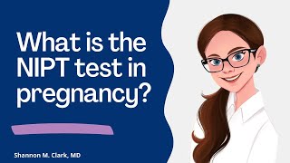 What is the NIPTNIPS test in pregnancy [upl. by Ailemor]