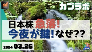 【カブラボ】325 日本株 週明け早々急落！ 月曜夜が鍵となりそう、なぜ？ [upl. by Ludvig]