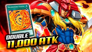 NEW quotPUREquot FLAME SWORDSMAN Deck 🔥  Post MAZE OF MILLENNIA Exordio [upl. by Cairistiona751]