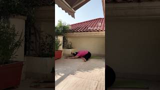 reproductivehealth digestion metabolism hamstrings spine hipopener yoga shortvideo pelvis [upl. by Tillfourd]