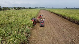 ¡Nos montamos a la ruta del bioetanol con Volkswagen Colombia [upl. by Ydda395]