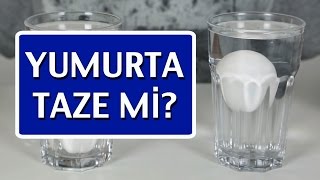 Yumurta Taze mi Bayat mı Nasıl Anlaşılır [upl. by Brigid]