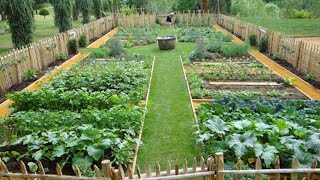 Membuat Kebun di Pekarangan Rumah  Memanfaatkan Lahan Sempit Sebagai Kebun Sayur [upl. by Wilcox]