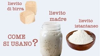 Lievito madre lievito di birra e lievito istantaneo come si usano [upl. by Cohette349]