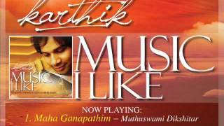 Music I Like  Karthik [upl. by Yeslek736]