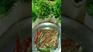 Mirchi ka Achar  Testy 😋😋🤗😍 trending food foodshorts [upl. by Siloum723]