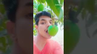 aam ke swad  slowed amp reverb  aam lela aam lela  new bhojpuri status2024 [upl. by Ainimreh199]