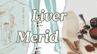 Easy learning Liver Acupoints tcm [upl. by Koerner]