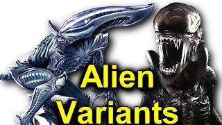 Tales of the Aliens  Alien Explained Compilation [upl. by Anwahsad]