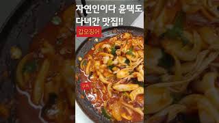 나는자연인이다 윤택도 다녀간 맛집 갑오징어볶음 [upl. by Nnanerak778]