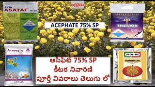 Acephate 75  SP insecticide అస్ఫేట్ 75 ఎస్పి detail in Telugu [upl. by Murdoch]