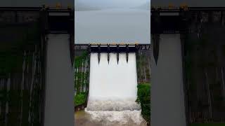 Divine DIMBHE DAM😱🌊 pune trending short youtubeshorts viralvideo maharashtra trendingshorts [upl. by Einnob]