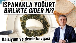 ISPANAKLA YOĞURT KÖFTE İLE AYRAN birlikte gider mi Kalsiyum demir kavgası  Dr Mehmet Portakal [upl. by Odlabu]