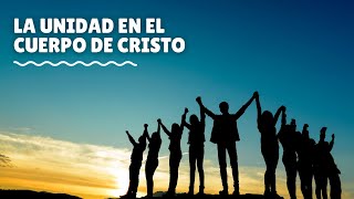 14 La unidad en el Cuerpo de Cristo 28 Creencias Adventistas Para Niños [upl. by Einnad]