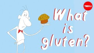 What’s the big deal with gluten  William D Chey [upl. by Chicky]