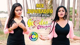 Gemelas De Corazon  Mix Zapateadito VideoClip OFICIAL [upl. by Lleval]