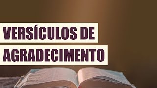 VERSÍCULOS DE AGRADECIMENTO [upl. by Eidnew]