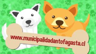 SPOT “TENENCIA RESPONSABLE MASCOTAS” [upl. by Riamo815]