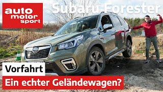 Subaru Forester eBoxer 2020 Echter Geländekraxler – FahrberichtReview  auto motor und sport [upl. by Eidlog]