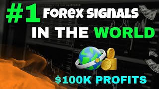 the BEST Free Forex Signals Telegram Groups in 2024 [upl. by Russo802]