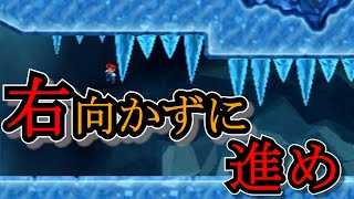 右NGでつららの下通れる？ マリオ左縛り ゲーム実況 スーパーマリオブラザーズWii縛りプレイ縛りマリオ [upl. by Wulf]