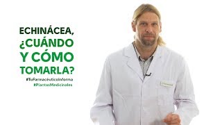 Echinácea cuándo y cómo tomarla Tu Farmacéutico Informa  PlantasMedicinales [upl. by Eerbua352]