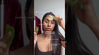 natural aloe vera facial benefits for summer skincaretips naturalskincare [upl. by Hauser829]