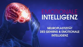 01 Neuroplastizität des Gehirns amp emotionale Intelligenz  Dr Neil Nedley [upl. by Seymour560]