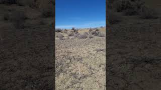 31224 New Mexico a desert 🏜 terrain hike scenic ✨️ [upl. by Holcman]