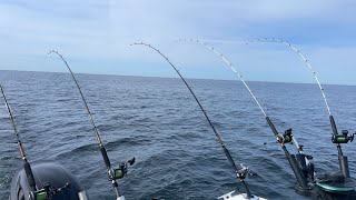 HASSLÖ 2023 TROLLING FISHING SALMON ON BALTIC SEA [upl. by Todhunter]