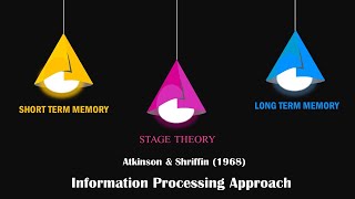 Information Processing Approach Stage Theory by Atkinson and Shriffin 1968 [upl. by Ricarda]