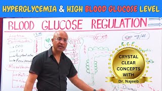 Complications of Hyperglycemia  High Blood Glucose Level 🩸 [upl. by Haram]