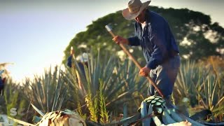 SC Pictures  Herradura Tequila  The Story Of Herradura  315  Director Stewart Cohen [upl. by Hanforrd]