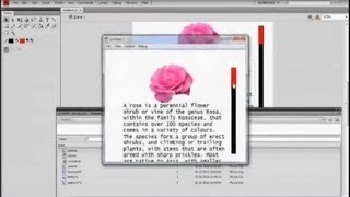 Make A Very Easy Custom Scrollbar In Flash [upl. by Jaenicke]
