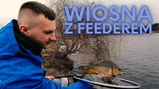 Wiosna z feederem  ryby na pellet i wafters z zimnej wody [upl. by Wendalyn]